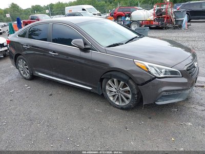 5NPE34AF8GH****** 2016 Hyundai Sonata