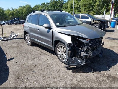 WVGBV75N49W****** 2009 Volkswagen Tiguan