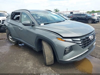 5NMJBCDE3RH****** 2024 Hyundai Tucson