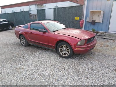 1ZVHT80N355****** 2005 Ford Mustang