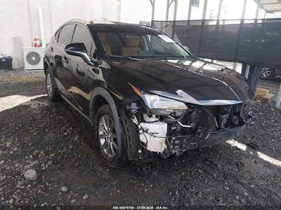 JTJBARBZ9K2****** 2019 Lexus NX