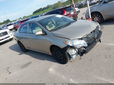 1NXBU4EE9AZ****** 2010 Toyota Corolla