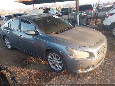 1N4AA5APXAC****** 2010 Nissan Maxima