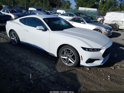 1FA6P8TH6R5****** 2024 Ford Mustang