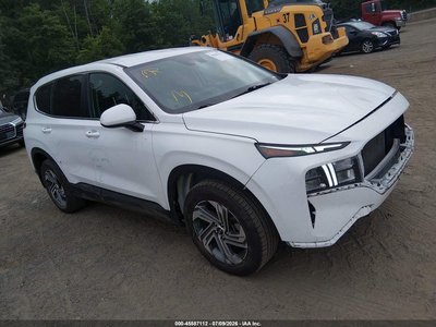 5NMS14AJ0PH****** 2023 Hyundai Santa Fe