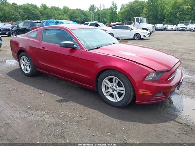 1ZVBP8AM2E5****** 2014 Ford Mustang