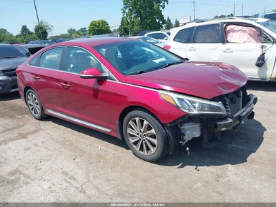 5NPE34AF6GH****** 2016 Hyundai Sonata