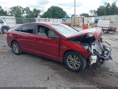 5NPE24AF0GH****** 2016 Hyundai Sonata