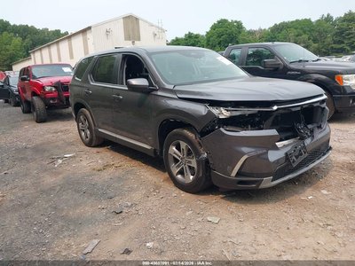 5FNYG1H51RB****** 2024 Honda Pilot