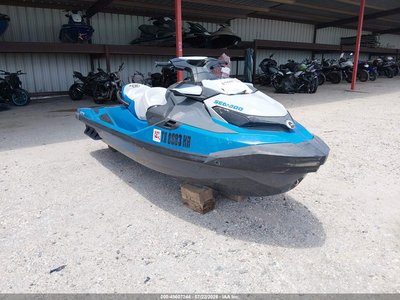 YDV4253***** 2020 Sea-Doo Other