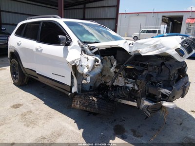 1C4PJMBXXLD****** 2020 Jeep Cherokee