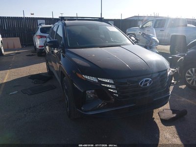 5NMJFCDE3RH****** 2024 Hyundai Tucson