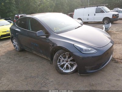 7SAYGDEE7RA****** 2024 Tesla Model Y