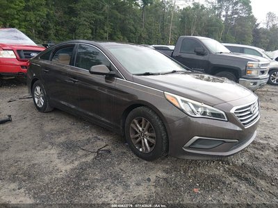5NPE24AF4GH****** 2016 Hyundai Sonata