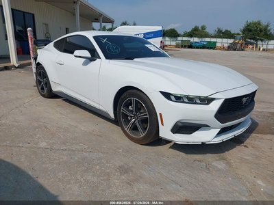 1FA6P8TH1R5****** 2024 Ford Mustang