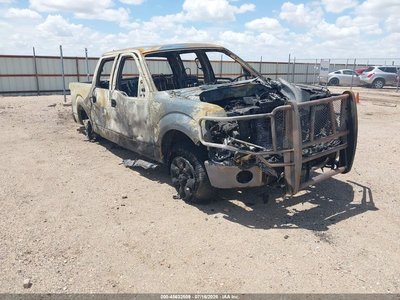 1FTFW1EV5AF****** 2010 Ford F-150