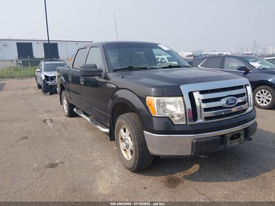 2010 Ford F-150