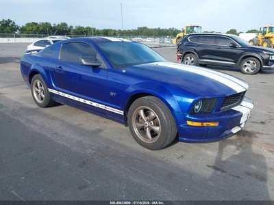 1ZVFT82H655****** 2005 Ford Mustang