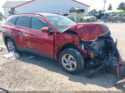 5NMJBCDE1RH****** 2024 Hyundai Tucson