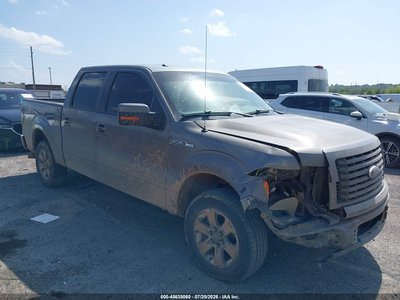 1FTEW1C81AK****** 2010 Ford F-150