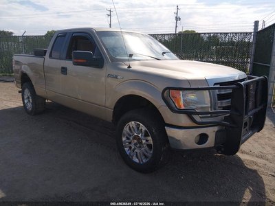 1FTEX1EM9DF****** 2013 Ford F-150