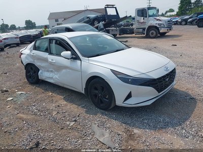 5NPLM4AG4PH****** 2023 Hyundai Elantra