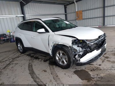 5NMJB3DE6RH****** 2024 Hyundai Tucson