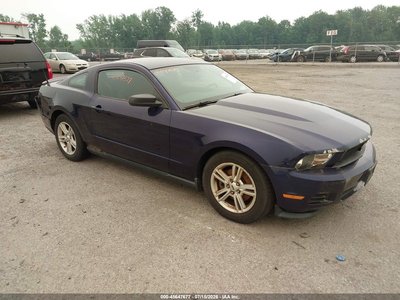 1ZVBP8AM6B5****** 2011 Ford Mustang