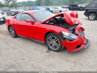 1FA6P8TH7F5****** 2015 Ford Mustang