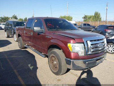 1FTFW1EV3AF****** 2010 Ford F-150