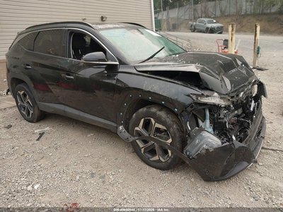 KM8JECD13RU****** 2024 Hyundai Tucson Hybrid