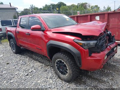 3TYLB5JN4RT****** 2024 Toyota Tacoma