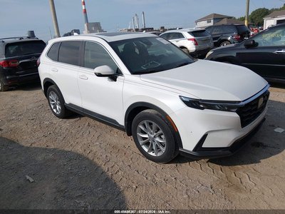 7FARS4H45RE****** 2024 Honda CR-V