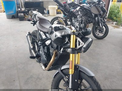 2025 Triumph Scrambler