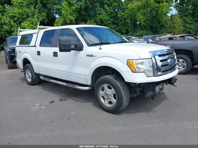 1FTEW1E86AF****** 2010 Ford F-150