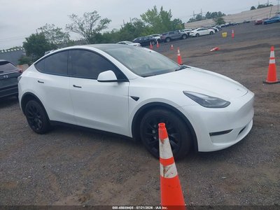 7SAYGDEE5PF****** 2023 Tesla Model Y