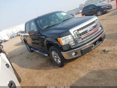 1FTFW1EF0DF****** 2013 Ford F-150