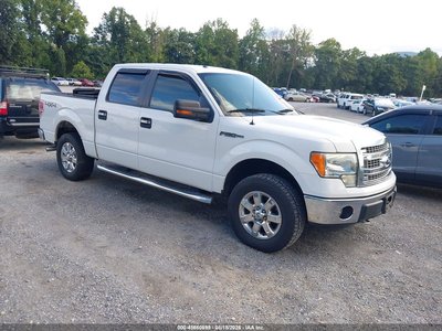 1FTFW1EF7DK****** 2013 Ford F-150