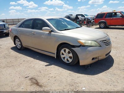 4T1BE46K89U****** 2009 Toyota Camry