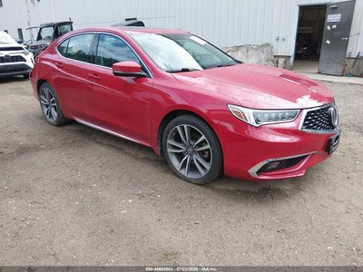 19UUB3F81KA****** 2019 Acura TLX