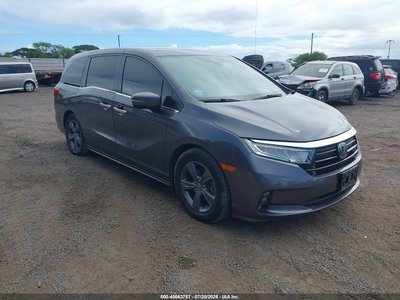 5FNRL6H50NB****** 2022 Honda Odyssey
