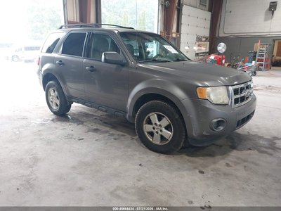 2010 Ford Escape