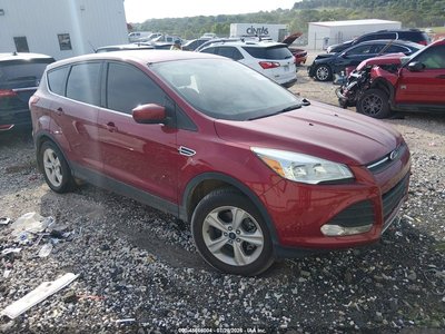 2015 Ford Escape