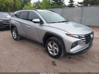 5NMJBCDE5RH****** 2024 Hyundai Tucson