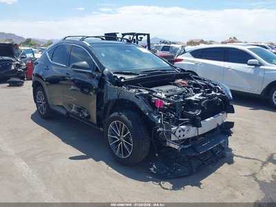 2025 Lexus NX