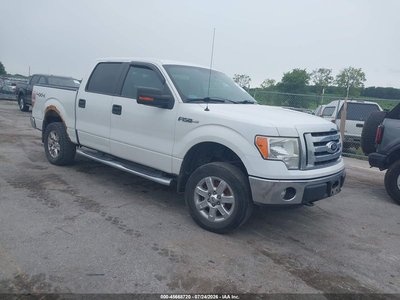 1FTFW1EF6CF****** 2012 Ford F-150