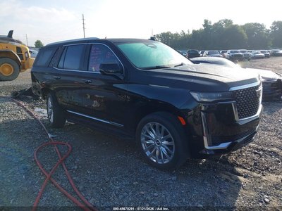 1GYS3BKL7RR****** 2024 Cadillac Escalade