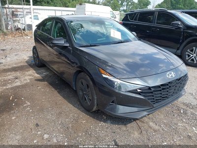 5NPLM4AG8PH****** 2023 Hyundai Elantra