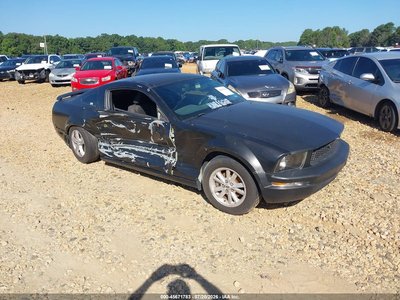 1ZVFT80N155****** 2005 Ford Mustang
