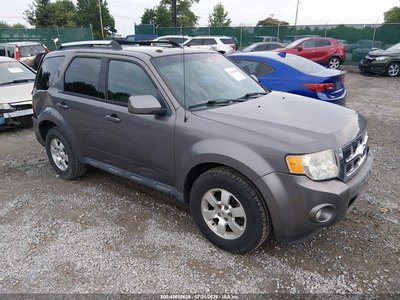 2010 Ford Escape